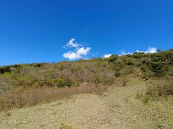 Se vende amplio lote de 5.4 hectáreas en Ciudad Colón 25-1098 Se vende amplio lote de 5.4 hectáreas en Ciudad Colón 25-1098