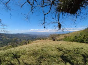 Se vende amplio lote de 5.4 hectáreas en Ciudad Colón 25-1098 Se vende amplio lote de 5.4 hectáreas en Ciudad Colón 25-1098