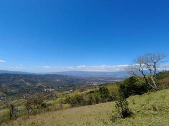 Se vende amplio lote de 5.4 hectáreas en Ciudad Colón 25-1098 Se vende amplio lote de 5.4 hectáreas en Ciudad Colón 25-1098
