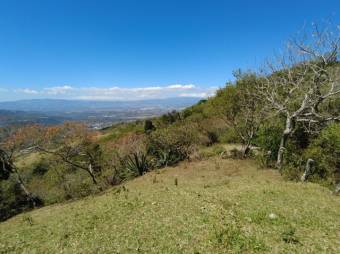 Se vende amplio lote de 5.4 hectáreas en Ciudad Colón 25-1098 Se vende amplio lote de 5.4 hectáreas en Ciudad Colón 25-1098