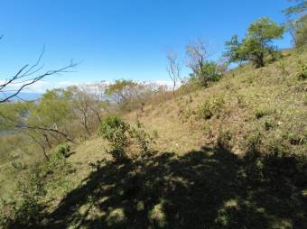 Se vende amplio lote de 5.4 hectáreas en Ciudad Colón 25-1098 Se vende amplio lote de 5.4 hectáreas en Ciudad Colón 25-1098