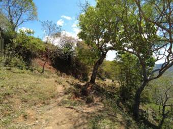 Se vende amplio lote de 5.4 hectáreas en Ciudad Colón 25-1098 Se vende amplio lote de 5.4 hectáreas en Ciudad Colón 25-1098