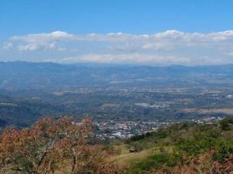 Se vende amplio lote de 5.4 hectáreas en Ciudad Colón 25-1098 Se vende amplio lote de 5.4 hectáreas en Ciudad Colón 25-1098