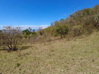 Se vende amplio lote de 5.4 hectáreas en Ciudad Colón 25-1098 Se vende amplio lote de 5.4 hectáreas en Ciudad Colón 25-1098