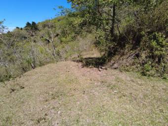 Se vende amplio lote de 5.4 hectáreas en Ciudad Colón 25-1098 Se vende amplio lote de 5.4 hectáreas en Ciudad Colón 25-1098