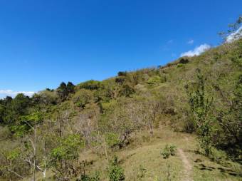 Se vende amplio lote de 5.4 hectáreas en Ciudad Colón 25-1098 Se vende amplio lote de 5.4 hectáreas en Ciudad Colón 25-1098