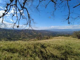 Se vende amplio lote de 5.4 hectáreas en Ciudad Colón 25-1098 Se vende amplio lote de 5.4 hectáreas en Ciudad Colón 25-1098