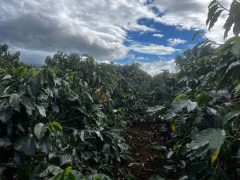 Se vende finca con 4.7 hectáreas en Desamparados Alajuela 23-1784 Se vende finca con 4.7 hectáreas en Desamparados Alajuela 23-1784