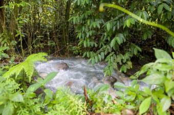 Se vende amplio lote de 24 Hectáreas en Aguas Claras 24-422 Se vende amplio lote de 24 Hectáreas en Aguas Claras 24-422