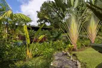 Se vende amplio lote de 24 Hectáreas en Aguas Claras 24-422 Se vende amplio lote de 24 Hectáreas en Aguas Claras 24-422