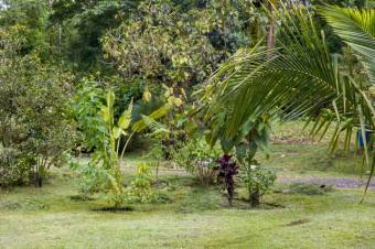 Se vende amplio lote de 24 Hectáreas en Aguas Claras 24-422 Se vende amplio lote de 24 Hectáreas en Aguas Claras 24-422