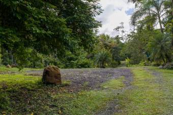 Se vende amplio lote de 24 Hectáreas en Aguas Claras 24-422 Se vende amplio lote de 24 Hectáreas en Aguas Claras 24-422