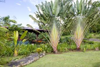 Se vende amplio lote de 24 Hectáreas en Aguas Claras 24-422 Se vende amplio lote de 24 Hectáreas en Aguas Claras 24-422