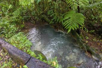 Se vende amplio lote de 24 Hectáreas en Aguas Claras 24-422 Se vende amplio lote de 24 Hectáreas en Aguas Claras 24-422