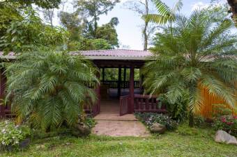 Se vende amplio lote de 24 Hectáreas en Aguas Claras 24-422 Se vende amplio lote de 24 Hectáreas en Aguas Claras 24-422