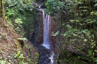 Se vende amplio lote de 24 Hectáreas en Aguas Claras 24-422 Se vende amplio lote de 24 Hectáreas en Aguas Claras 24-422