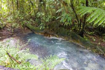 Se vende amplio lote de 24 Hectáreas en Aguas Claras 24-422 Se vende amplio lote de 24 Hectáreas en Aguas Claras 24-422