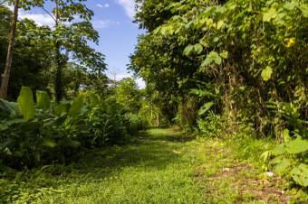 Se vende amplio lote de 24 Hectáreas en Aguas Claras 24-422 Se vende amplio lote de 24 Hectáreas en Aguas Claras 24-422