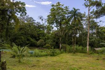 Se vende amplio lote de 24 Hectáreas en Aguas Claras 24-422 Se vende amplio lote de 24 Hectáreas en Aguas Claras 24-422