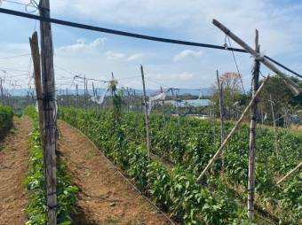 Se vende lote de 2para inversión Se vende lote de 2para inversión