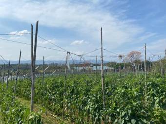 Se vende lote de 2para inversión Se vende lote de 2para inversión