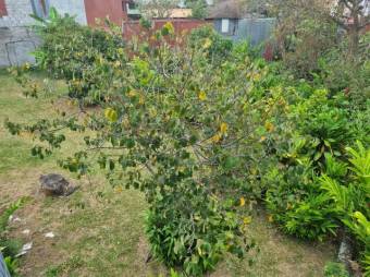 Se vende amplio lote de 6,301m2 en Zapote San José 25-1670 Se vende amplio lote de 6,301m2 en Zapote San José 25-1670