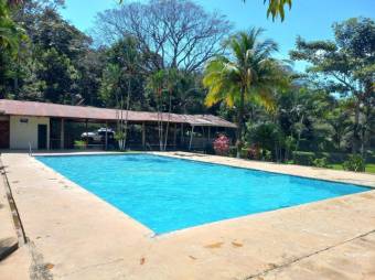 Se vende finca de 6.3 hectáreas con uso mixto en Atenas centro 24-1142 Se vende finca de 6.3 hectáreas con uso mixto en Atenas centro 24-1142