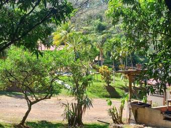 Se vende finca de 6.3 hectáreas con uso mixto en Atenas centro 24-1142 Se vende finca de 6.3 hectáreas con uso mixto en Atenas centro 24-1142