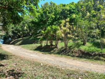 Se vende finca de 6.3 hectáreas con uso mixto en Atenas centro 24-1142 Se vende finca de 6.3 hectáreas con uso mixto en Atenas centro 24-1142