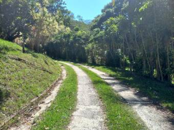 Se vende finca de 6.3 hectáreas con uso mixto en Atenas centro 24-1142 Se vende finca de 6.3 hectáreas con uso mixto en Atenas centro 24-1142