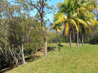 Se vende finca de 6.3 hectáreas con uso mixto en Atenas centro 24-1142 Se vende finca de 6.3 hectáreas con uso mixto en Atenas centro 24-1142