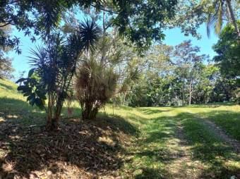 Se vende finca de 6.3 hectáreas con uso mixto en Atenas centro 24-1142 Se vende finca de 6.3 hectáreas con uso mixto en Atenas centro 24-1142