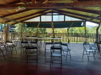 Se vende finca de 6.3 hectáreas con uso mixto en Atenas centro 24-1142 Se vende finca de 6.3 hectáreas con uso mixto en Atenas centro 24-1142