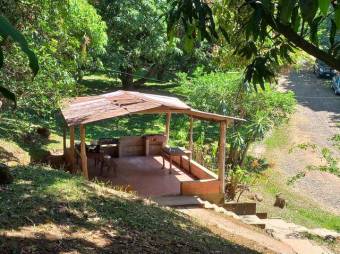 Se vende finca de 6.3 hectáreas con uso mixto en Atenas centro 24-1142 Se vende finca de 6.3 hectáreas con uso mixto en Atenas centro 24-1142