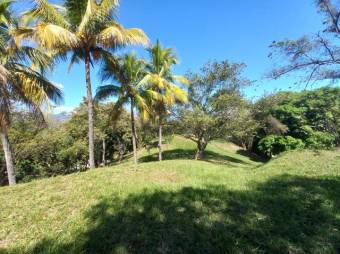 Se vende finca de 6.3 hectáreas con uso mixto en Atenas centro 24-1142 Se vende finca de 6.3 hectáreas con uso mixto en Atenas centro 24-1142