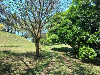 Se vende finca de 6.3 hectáreas con uso mixto en Atenas centro 24-1142 Se vende finca de 6.3 hectáreas con uso mixto en Atenas centro 24-1142