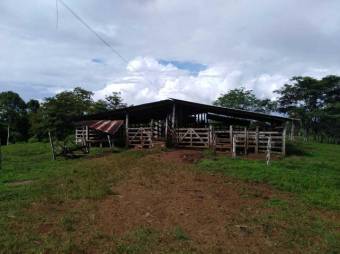 Se vende finca plana con mas de 180 hectáreas en San Carlos Alajuela 23-1617 Se vende finca plana con mas de 180 hectáreas en San Carlos Alajuela 23-1617