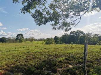 Se vende finca plana con mas de 180 hectáreas en San Carlos Alajuela 23-1617 Se vende finca plana con mas de 180 hectáreas en San Carlos Alajuela 23-1617