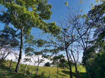 Se vende finca plana con mas de 180 hectáreas en San Carlos Alajuela 23-1617 Se vende finca plana con mas de 180 hectáreas en San Carlos Alajuela 23-1617