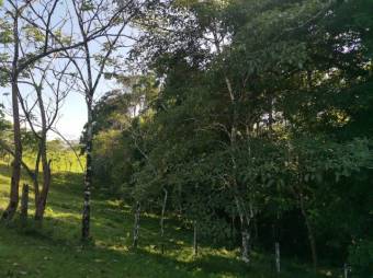Se vende finca plana con mas de 180 hectáreas en San Carlos Alajuela 23-1617 Se vende finca plana con mas de 180 hectáreas en San Carlos Alajuela 23-1617