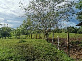 Se vende finca plana con mas de 180 hectáreas en San Carlos Alajuela 23-1617 Se vende finca plana con mas de 180 hectáreas en San Carlos Alajuela 23-1617