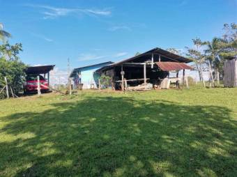 Se vende finca plana con mas de 180 hectáreas en San Carlos Alajuela 23-1617 Se vende finca plana con mas de 180 hectáreas en San Carlos Alajuela 23-1617
