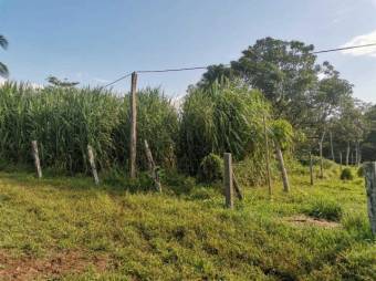 Se vende finca plana con mas de 180 hectáreas en San Carlos Alajuela 23-1617 Se vende finca plana con mas de 180 hectáreas en San Carlos Alajuela 23-1617