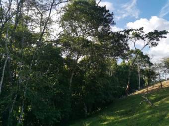 Se vende finca plana con mas de 180 hectáreas en San Carlos Alajuela 23-1617 Se vende finca plana con mas de 180 hectáreas en San Carlos Alajuela 23-1617