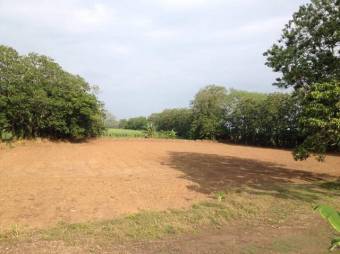 Se vende lote de 51 hectáreas en Florencia de Alajuela 23-2426 