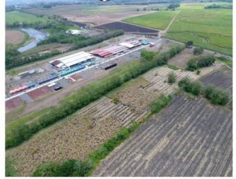 Se vende lote de 51 hectáreas en Florencia de Alajuela 23-2426 