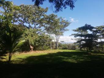 Se vende amplia finca de 5.6 hectáreas en Orotina Alajuela 21-1635