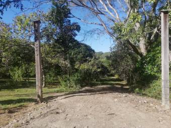 Se vende amplia finca de 5.6 hectáreas en Orotina Alajuela 21-1635