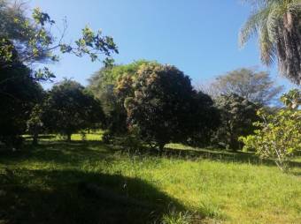 Se vende amplia finca de 5.6 hectáreas en Orotina Alajuela 21-1635