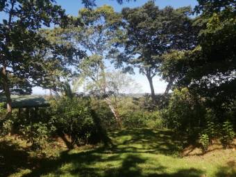 Se vende amplia finca de 5.6 hectáreas en Orotina Alajuela 21-1635